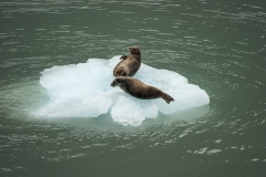 Alaska