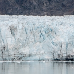 Glacier Bay-169