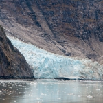 Glacier Bay-79
