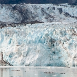 Glacier Bay-85