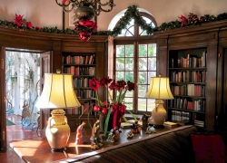 Reynolds Mansion, Sapelo Island