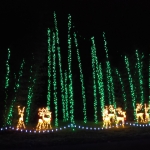 CGBG Holiday Lights-36
