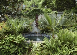 Savannah Hidden Gardens