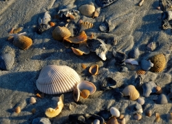 Tybee Island